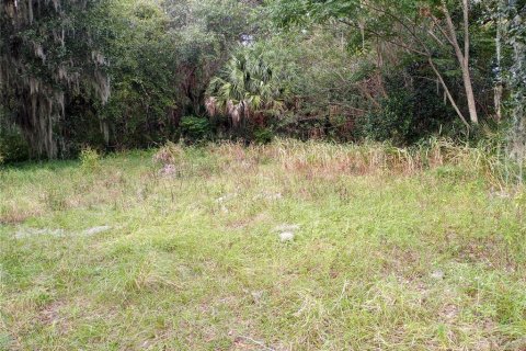 Купить земельный участок в Мимс, Флорида № 214639 - фото 1