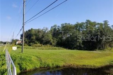 Terrain à vendre à Kissimmee, Floride № 1378327 - photo 4