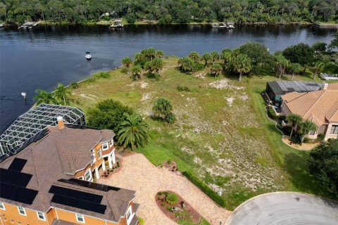 Terreno en venta en Palm Coast, Florida № 1373661 - foto 8