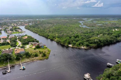 Land in Palm Coast, Florida № 1373661 - photo 12