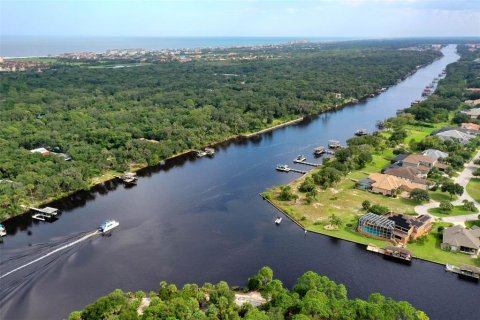 Land in Palm Coast, Florida № 1373661 - photo 3