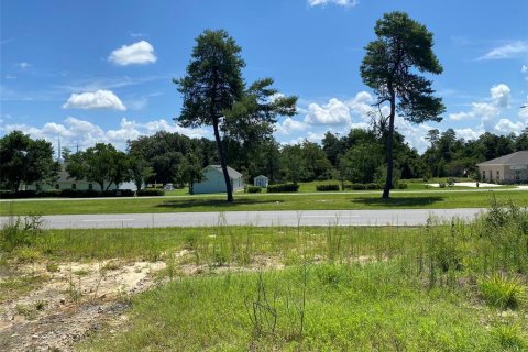 Terreno en venta en Ocala, Florida № 1200820 - foto 4