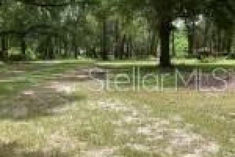 Terreno en venta en Mount Dora, Florida № 1366060 - foto 1