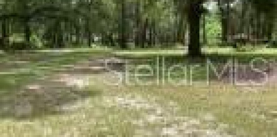 Terreno en Mount Dora, Florida № 1366060