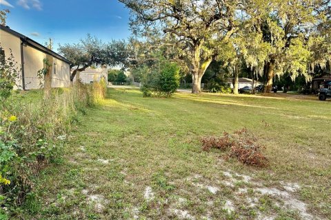 Terreno en venta en Apopka, Florida № 1427095 - foto 2