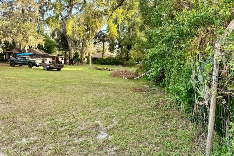 Terreno en venta en Apopka, Florida № 1427095 - foto 3