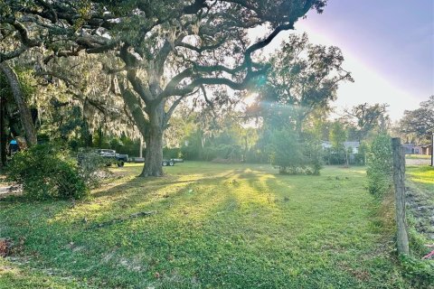 Terreno en venta en Apopka, Florida № 1427095 - foto 9