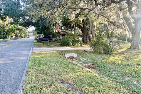 Terreno en venta en Apopka, Florida № 1427095 - foto 8