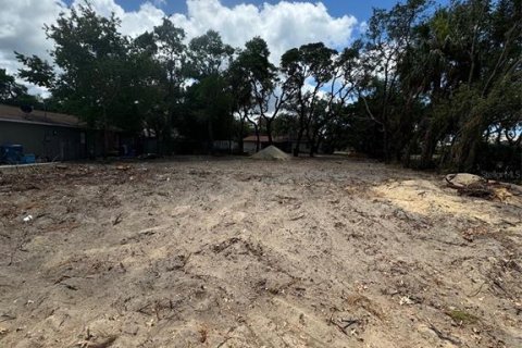 Terreno en venta en Spring Hill, Florida № 1312773 - foto 1