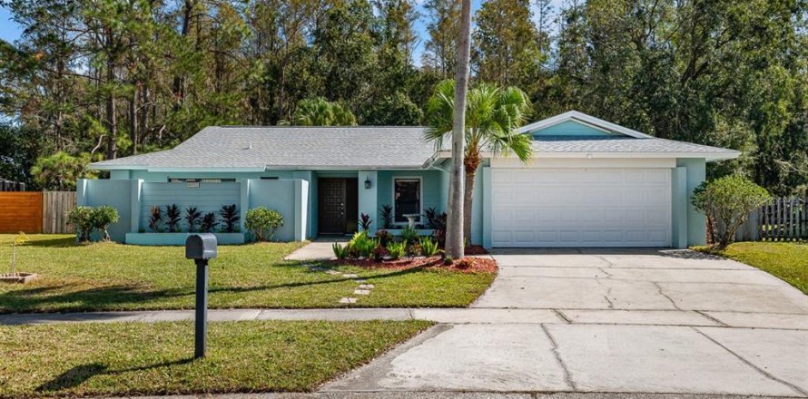 House in Tampa, Florida 4 bedrooms, 195.47 sq.m. № 1432836