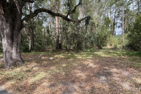 Land in Callahan, Florida № 766284 - photo 22