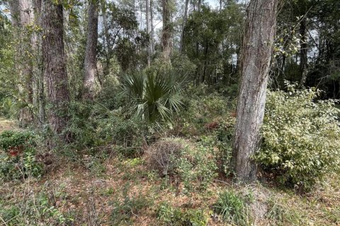 Land in Callahan, Florida № 766284 - photo 20