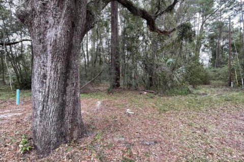Land in Callahan, Florida № 766284 - photo 19
