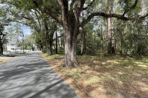 Купить земельный участок в Каллахан, Флорида № 766284 - фото 23