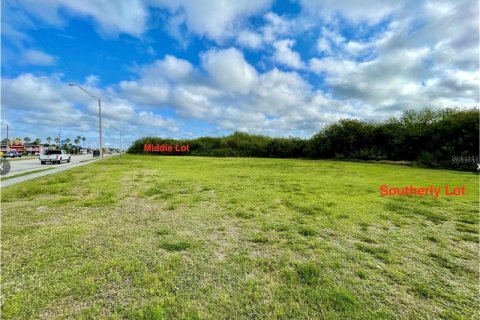 Terrain à vendre à Okeechobee, Floride № 872353 - photo 4