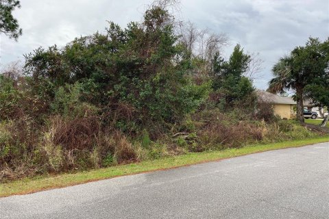 Terrain à vendre à Palm Coast, Floride № 948131 - photo 4