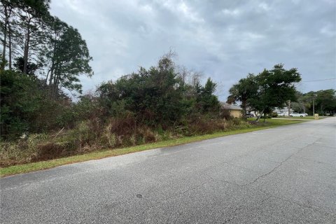 Terrain à vendre à Palm Coast, Floride № 948131 - photo 3
