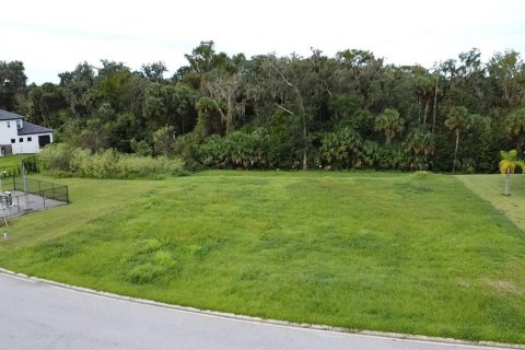 Terreno en venta en DeBary, Florida № 1400484 - foto 1