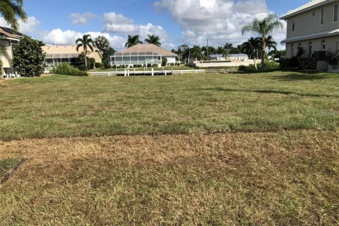 Terrain à vendre à Punta Gorda, Floride № 973472 - photo 3