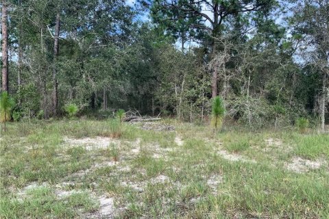 Купить земельный участок в Морристаун, Флорида № 213474 - фото 2