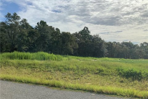 Купить земельный участок в Морристаун, Флорида № 213474 - фото 6