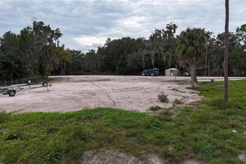 Terrain à vendre à Riverview, Floride № 1320498 - photo 4