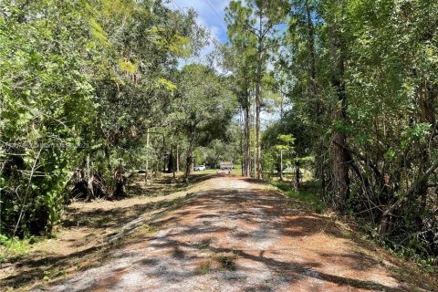 Terrain à vendre à Clewiston, Floride № 566493 - photo 4