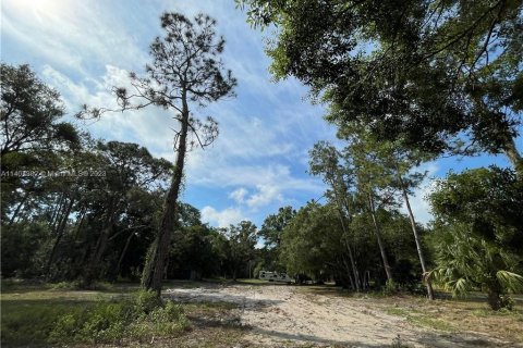 Terreno en venta en Clewiston, Florida № 566493 - foto 15