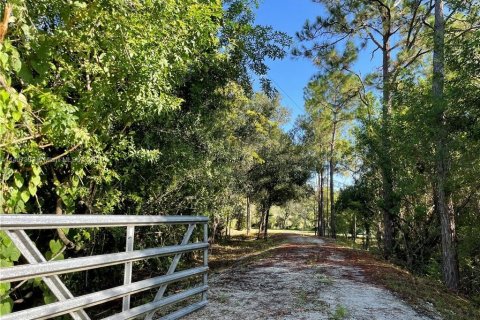 Terrain à vendre à Clewiston, Floride № 566493 - photo 2