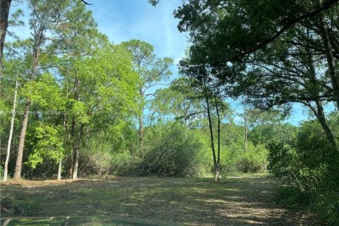Terrain à vendre à Clewiston, Floride № 566493 - photo 9