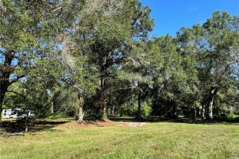 Terrain à vendre à Clewiston, Floride № 566493 - photo 7