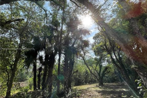 Land in Clewiston, Florida № 566493 - photo 13