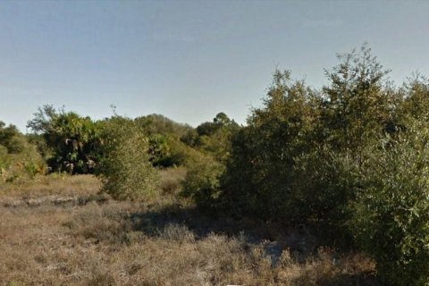 Купить земельный участок в Лихай-Эйкерс, Флорида № 978456 - фото 1