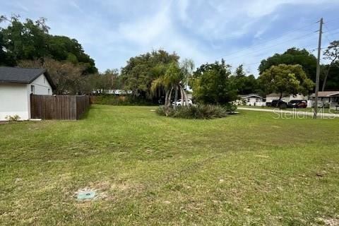 Land in Zephyrhills, Florida № 1114510 - photo 1