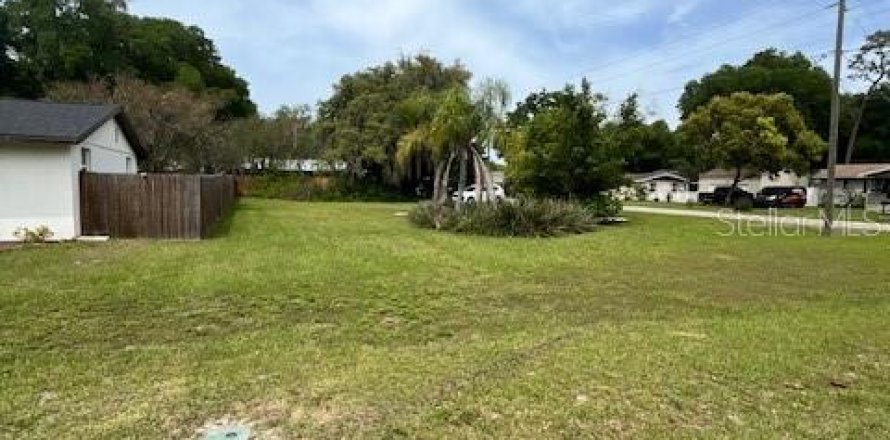 Land in Zephyrhills, Florida № 1114510