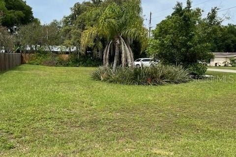 Terreno en venta en Zephyrhills, Florida № 1114510 - foto 3