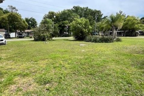 Terrain à vendre à Zephyrhills, Floride № 1114510 - photo 4