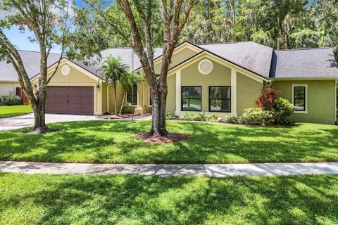 Villa ou maison à vendre à Tampa, Floride: 3 chambres, 215.16 m2 № 1289841 - photo 1