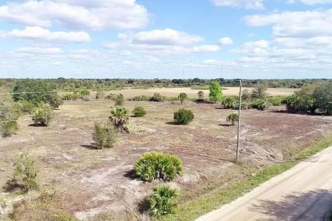 Land in Okeechobee, Florida № 970519 - photo 1