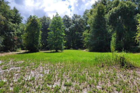 Terreno en venta en Ocklawaha, Florida № 1308197 - foto 1