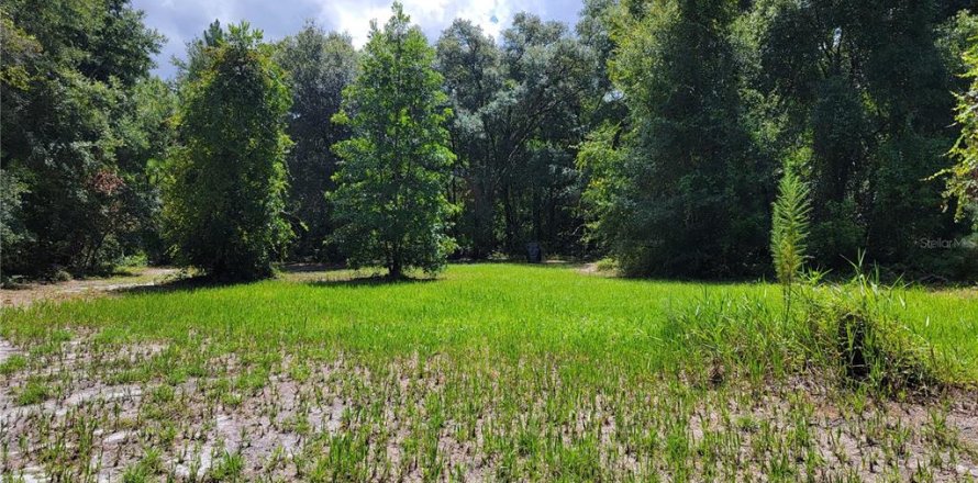 Terreno en Ocklawaha, Florida № 1308197