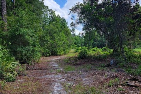 Terrain à vendre à Ocklawaha, Floride № 1308197 - photo 3