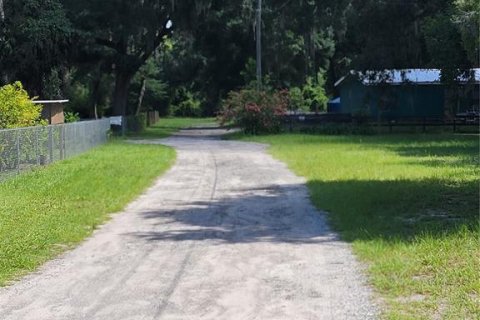 Terreno en venta en Ocklawaha, Florida № 1308197 - foto 11