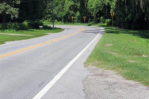 Land in Ocklawaha, Florida № 1308197 - photo 10