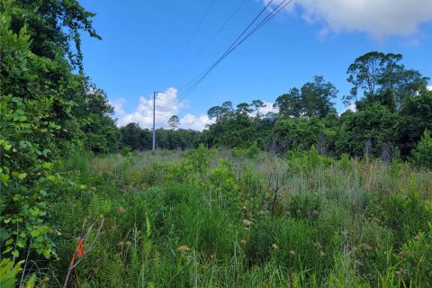 Terreno en venta en Ocklawaha, Florida № 1308197 - foto 5