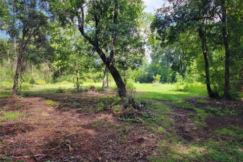 Terreno en venta en Ocklawaha, Florida № 1308197 - foto 2