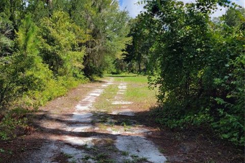 Terreno en venta en Ocklawaha, Florida № 1308197 - foto 12