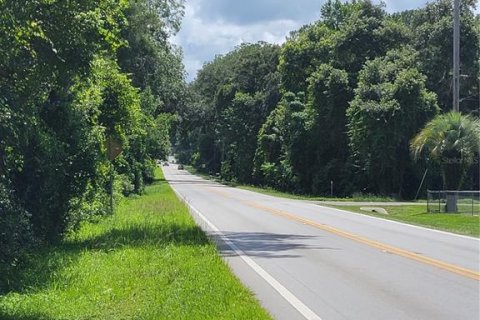 Terreno en venta en Ocklawaha, Florida № 1308197 - foto 9