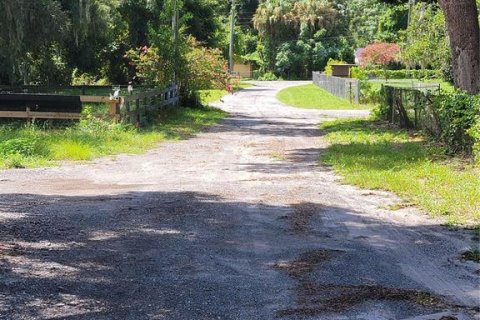 Terreno en venta en Ocklawaha, Florida № 1308197 - foto 13