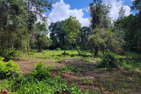 Terreno en venta en Ocklawaha, Florida № 1308197 - foto 4